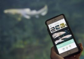 Pittsburgh Zoo & PPG Aquarium App may interest Millennial, Gen Z crowds